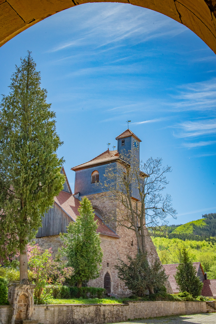 Kloster Ilsenburg VI - Harz