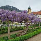 Kloster in Lana