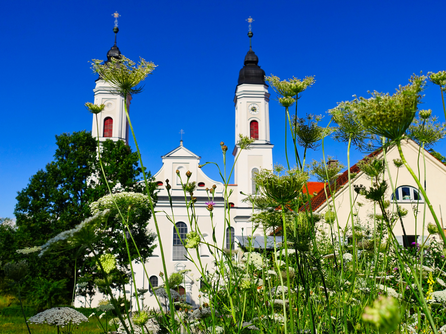 Kloster Irsee mit Pflanzen