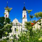 Kloster Irsee mit Pflanzen