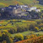 Kloster Kalvarienberg