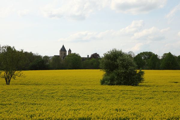 Kloster Knechtsteden im Rapsfeld