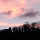 Kloster Limburg im Morgengrauen