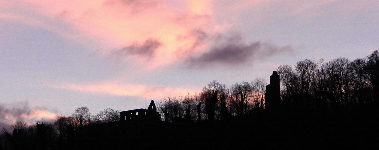 Kloster Limburg im Morgengrauen