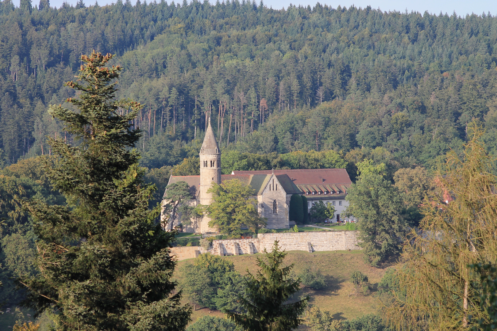 Kloster Lorch II