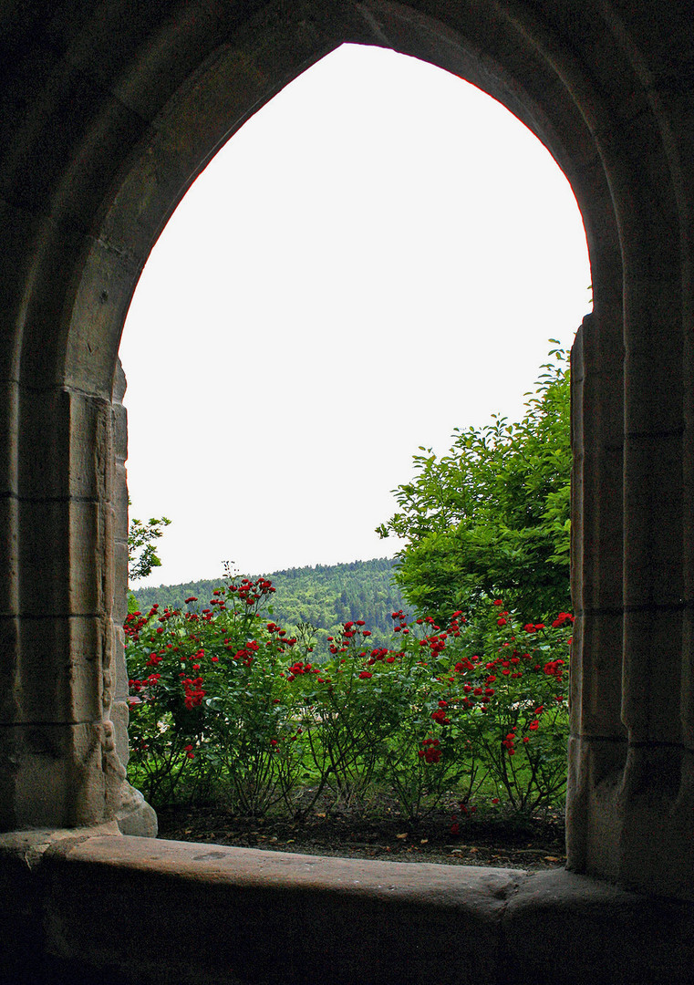 Kloster Lorch im Remstal (4)