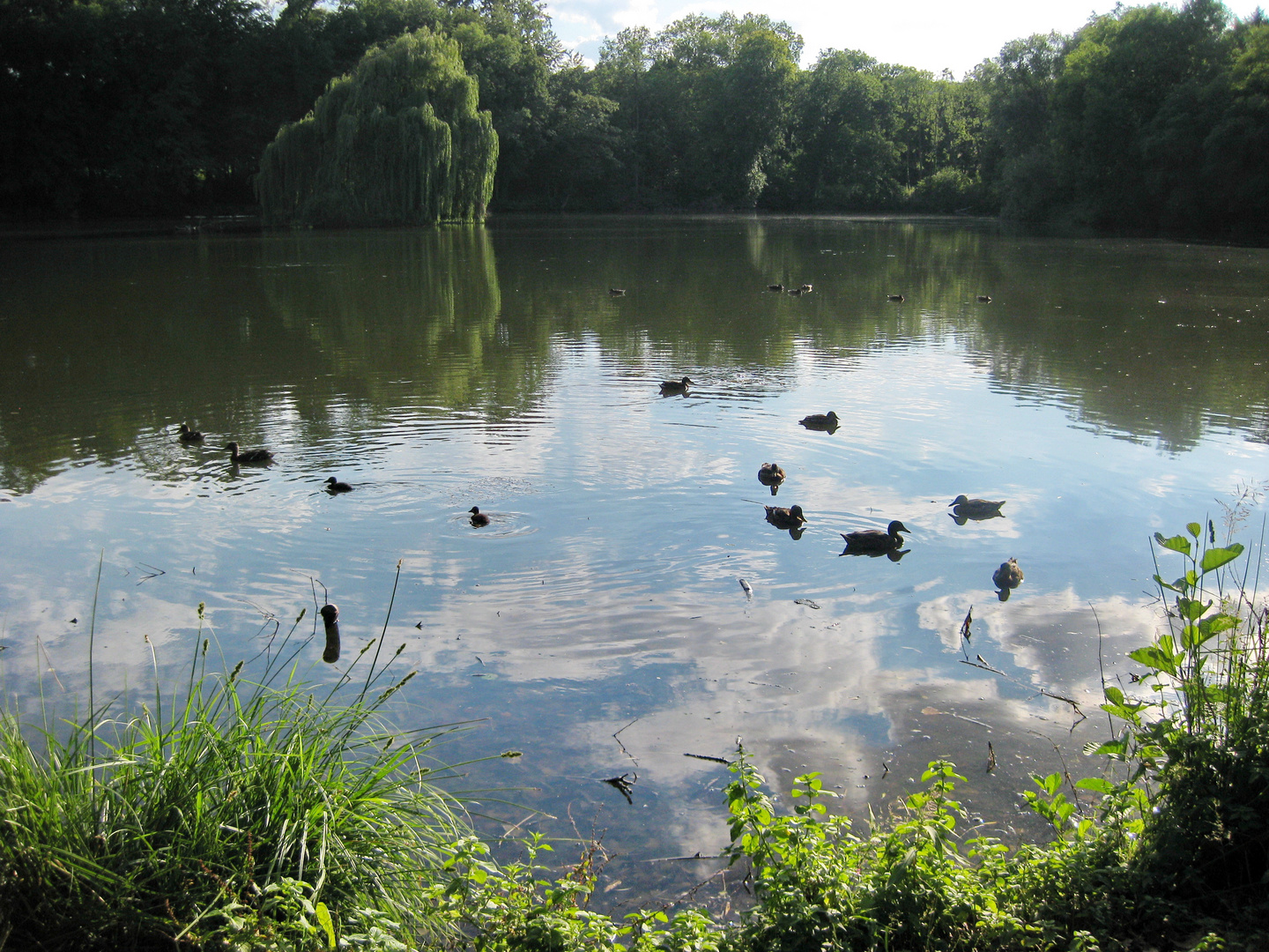 Kloster Marienrode - Teich