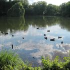 Kloster Marienrode - Teich