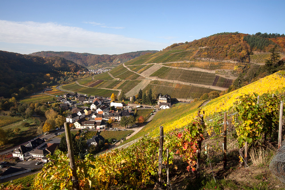 Kloster Mariental bei Dernau im Ahrtal