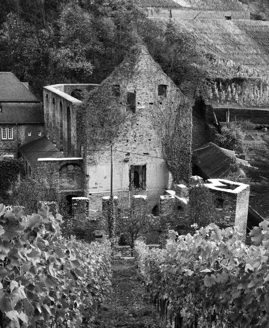 Kloster Marienthal Foto & Bild architektur, sakralbauten, klöster