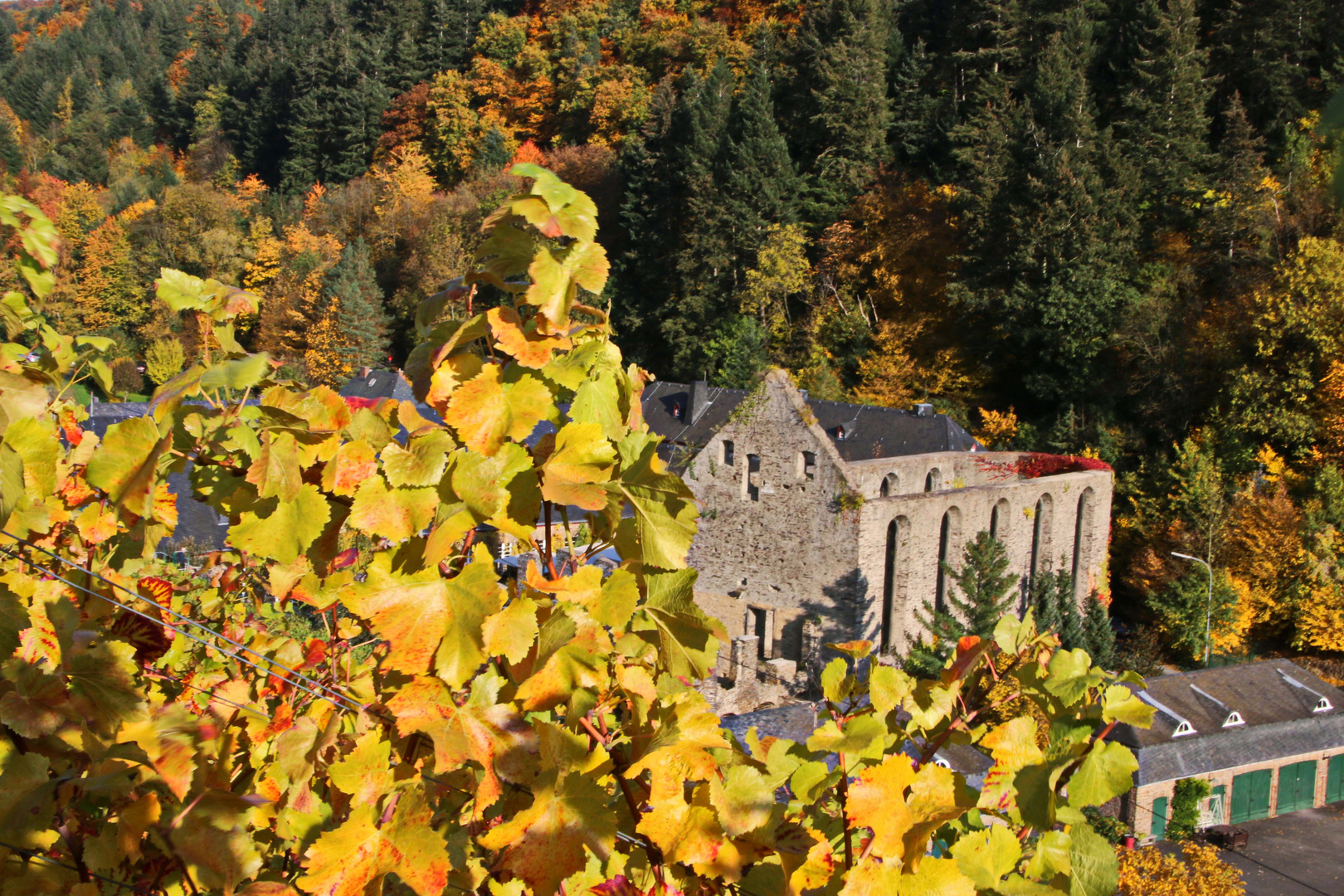 Kloster Marienthal aus anderer Perspektive (2)