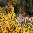 Kloster Marienthal aus anderer Perspektive (2)