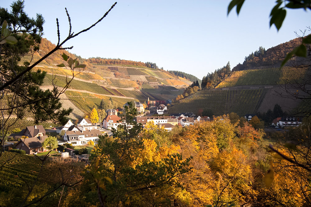 Kloster Marienthal bei Dernau.