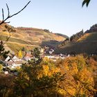 Kloster Marienthal bei Dernau.