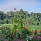 Kloster Merten 