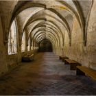 Kloster Michaelstein (1) Im Kreuzgang