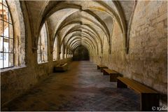 Kloster Michaelstein (1) Im Kreuzgang