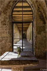 Kloster Michaelstein (2) Blick aus Abtskapelle