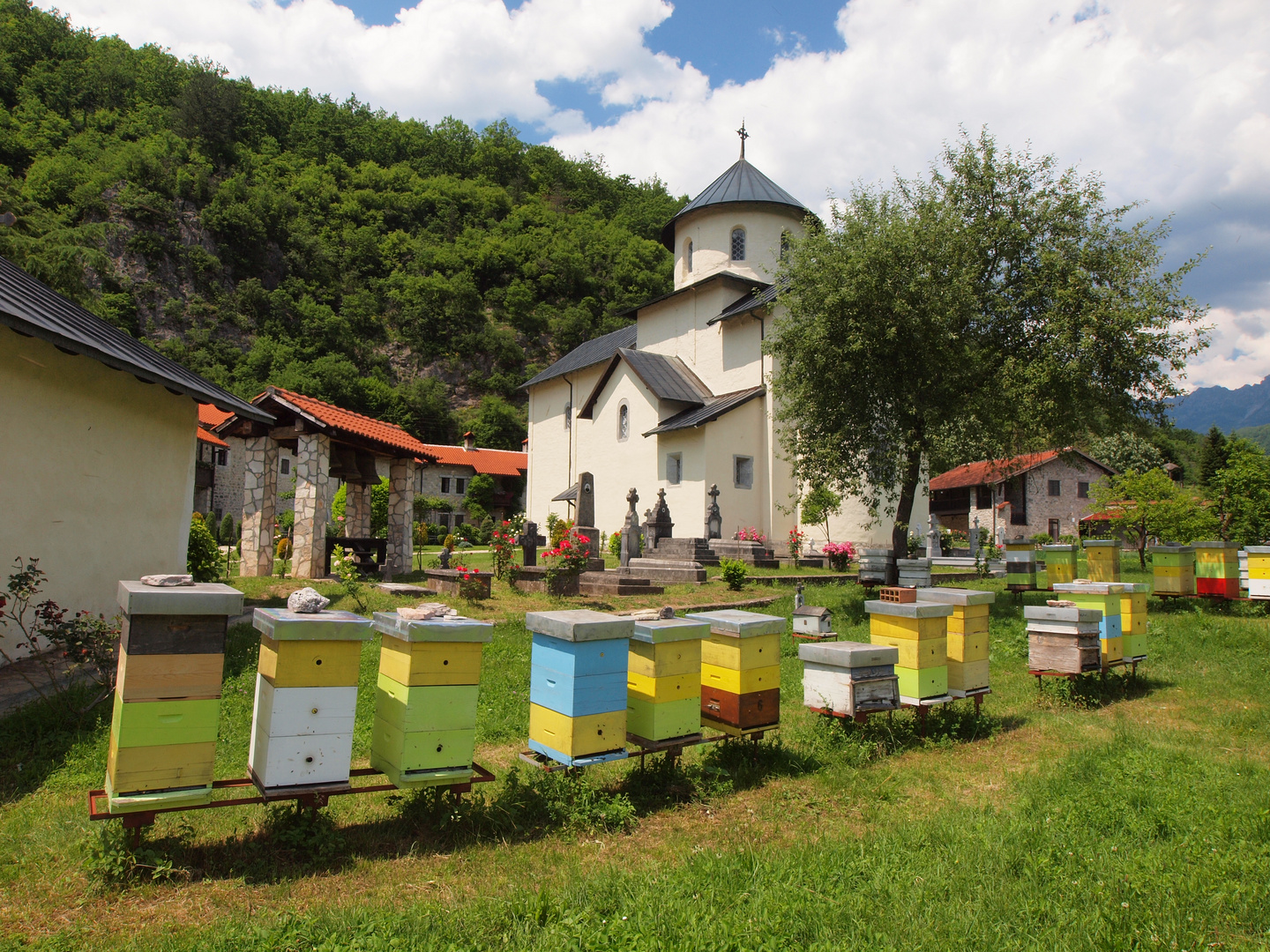 Kloster Moraca in Crna Gora
