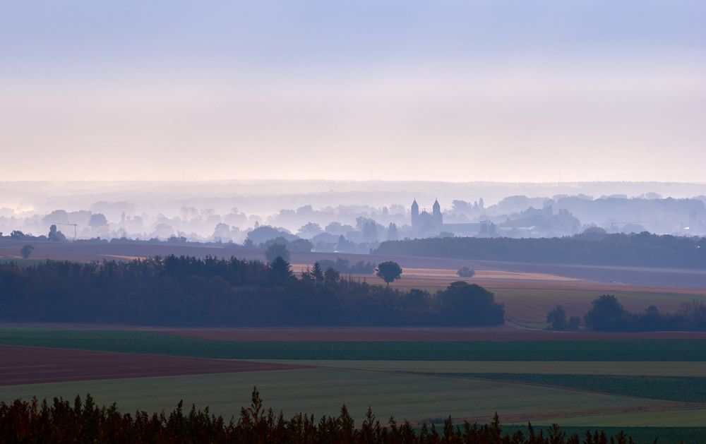 Kloster Münster Schwarzach im Morgennebel