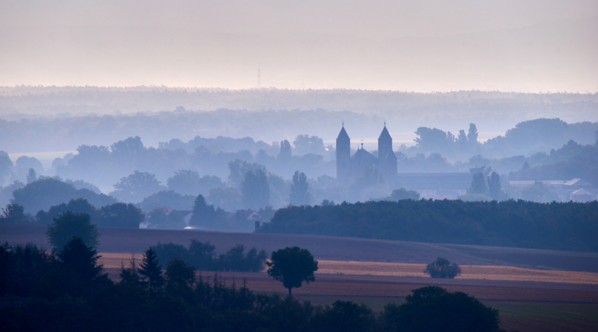 Kloster Münster Schwarzach im Morgennebel