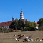 Kloster Neresheim