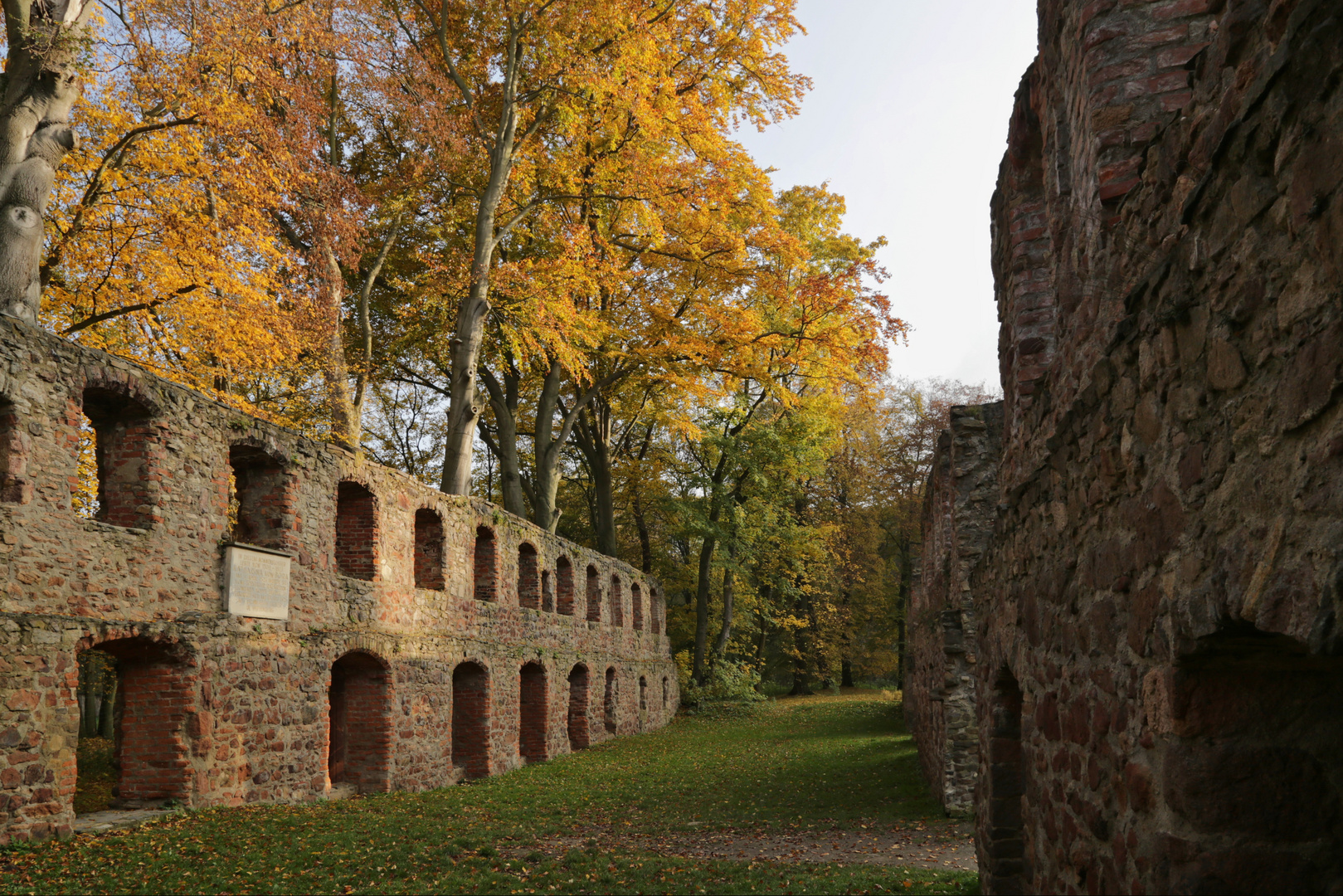 Kloster Nimbschen bei Grimma (2015_10_26_EOS 6D_0722_ji)