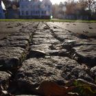 Kloster Nütschau, Herbstsonne