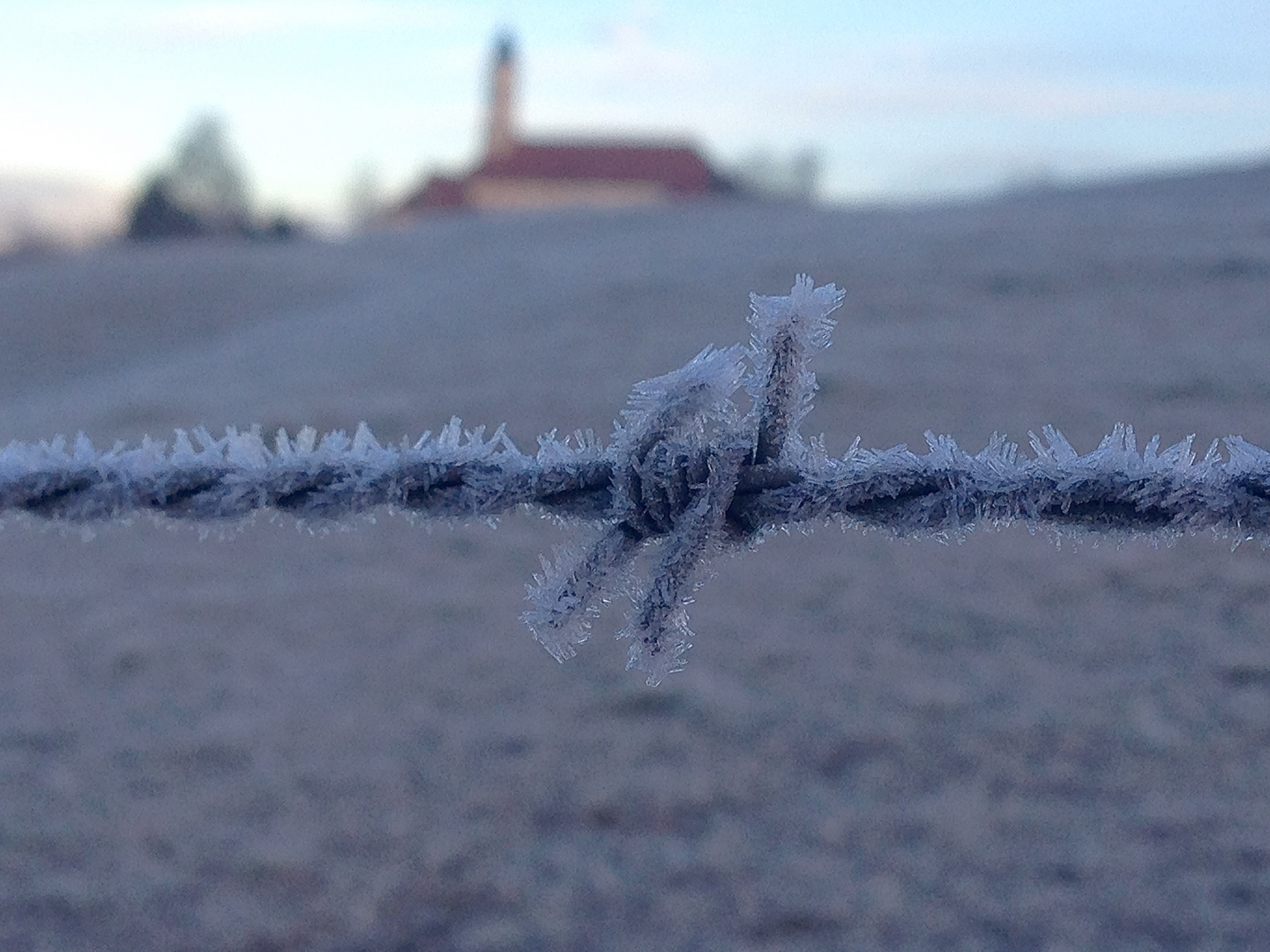 Kloster Reutberg - Stacheldraht-Frost