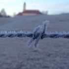 Kloster Reutberg - Stacheldraht-Frost