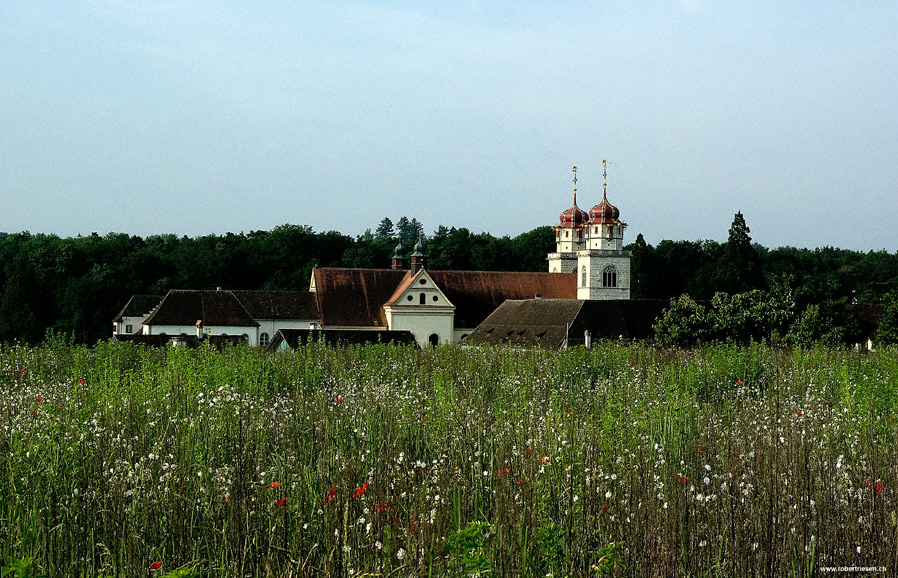 Kloster Rheinau