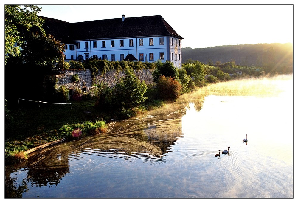 Kloster Rheinau im Morgendunst