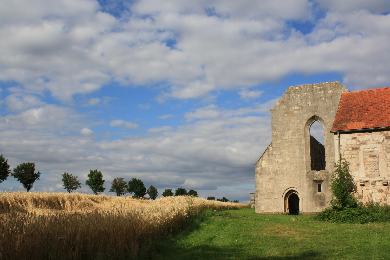 Kloster-Ruine