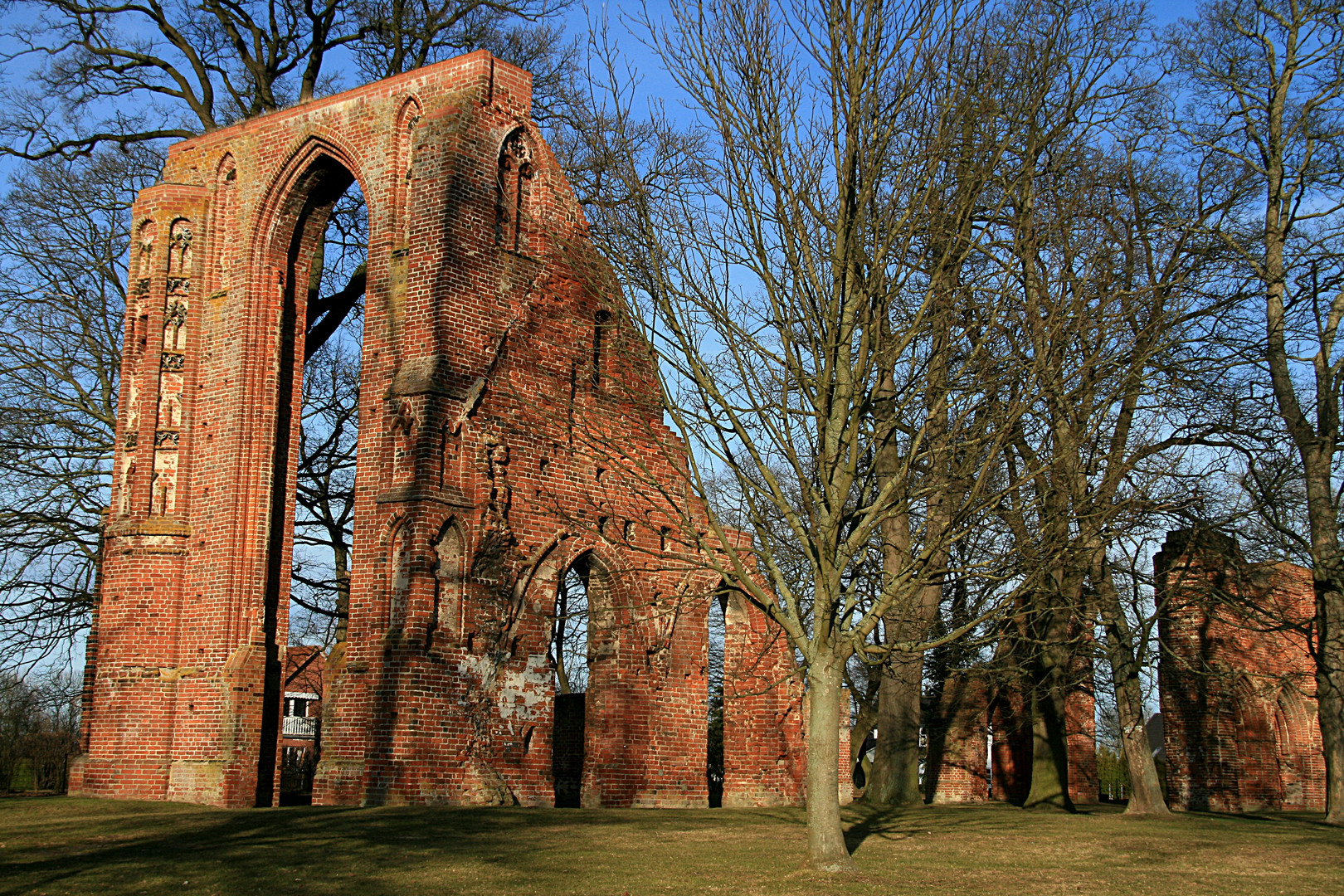 Kloster Ruine Eldena