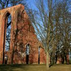 Kloster Ruine Eldena