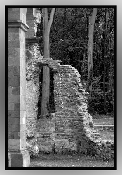 Kloster-Ruine Heisterbach 05