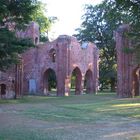 Kloster Ruine in Greifswald