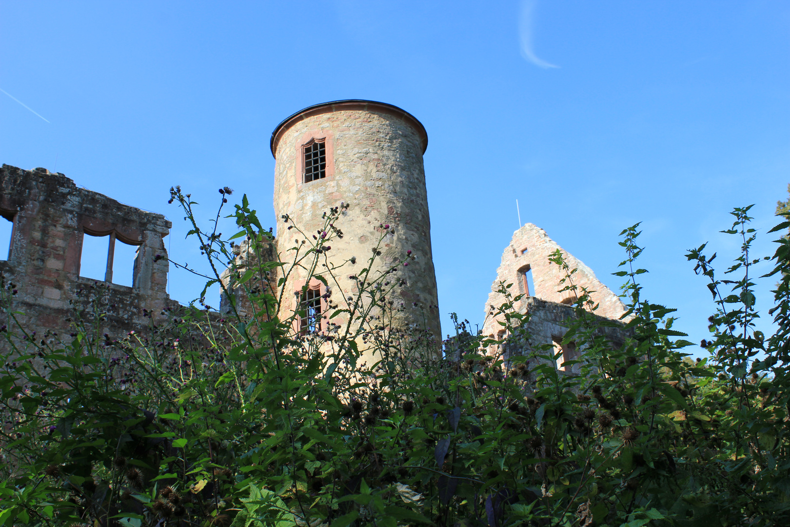 Kloster Ruine Schönrain