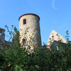 Kloster Ruine Schönrain