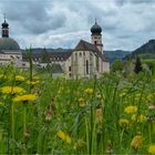 Kloster Sankt Trudpert...