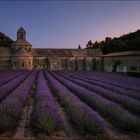 Kloster Senanque