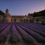 Kloster Senanque