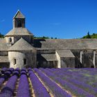 Kloster Senanque