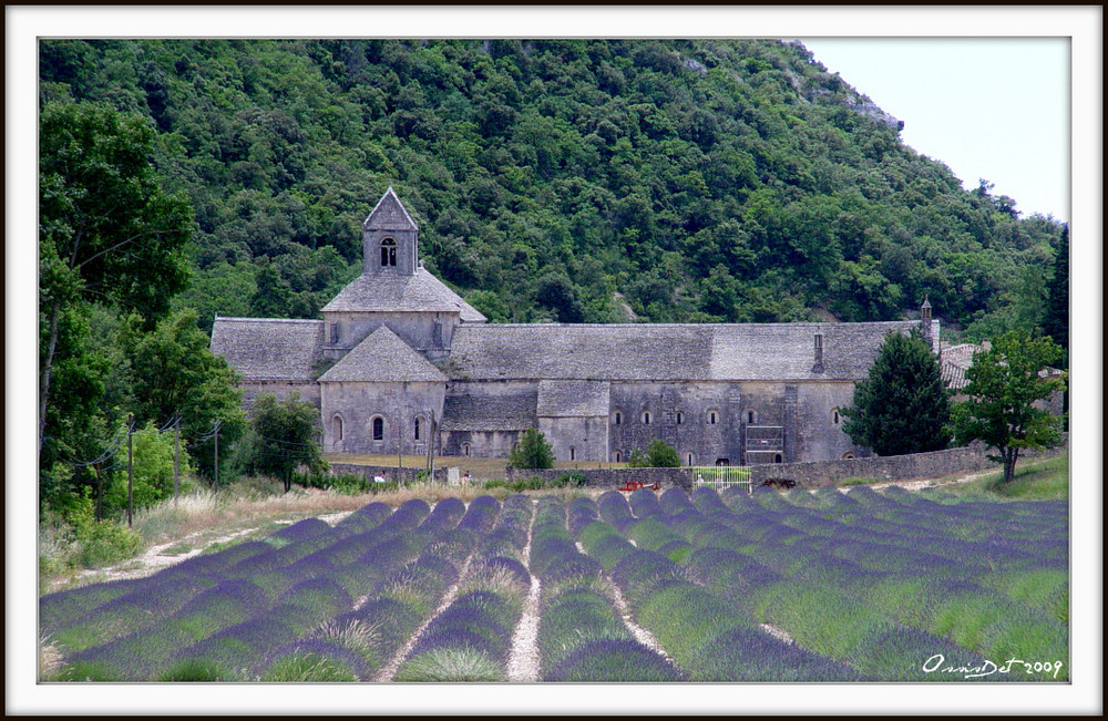 Kloster Senanque