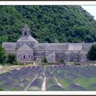Kloster Senanque