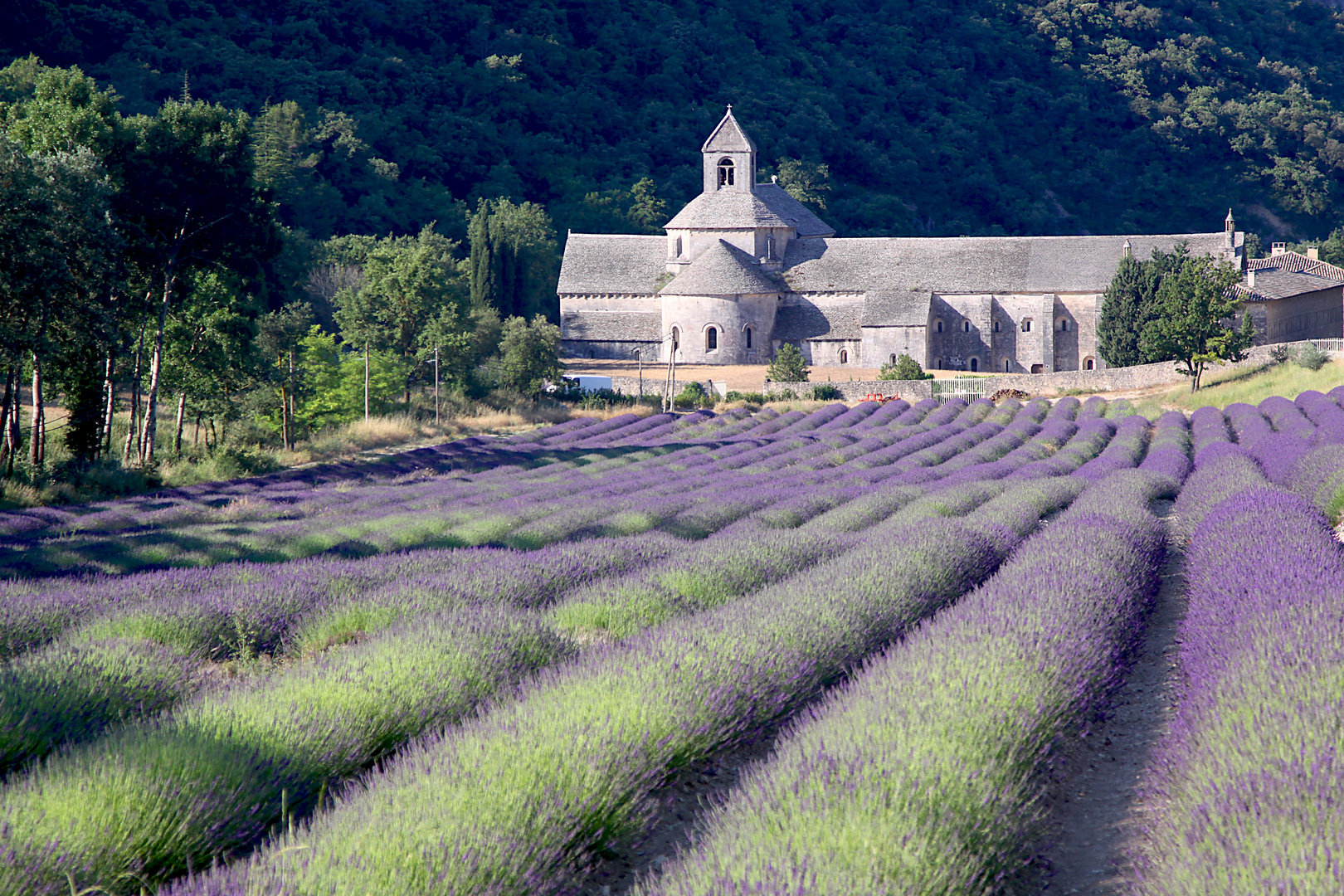 Kloster Senanque