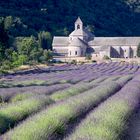 Kloster Senanque