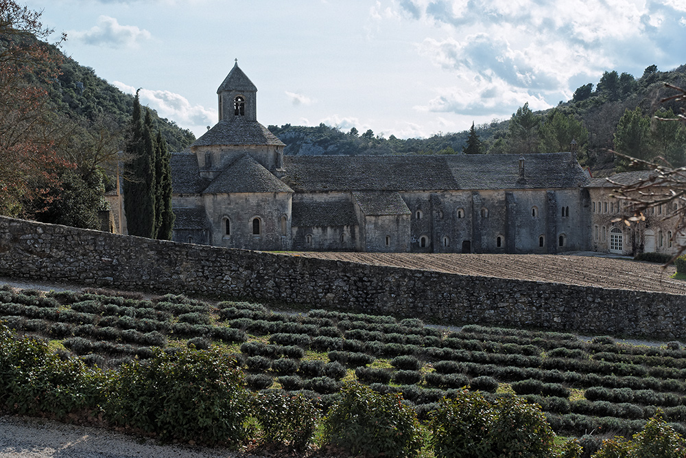 Kloster Sènanque im März