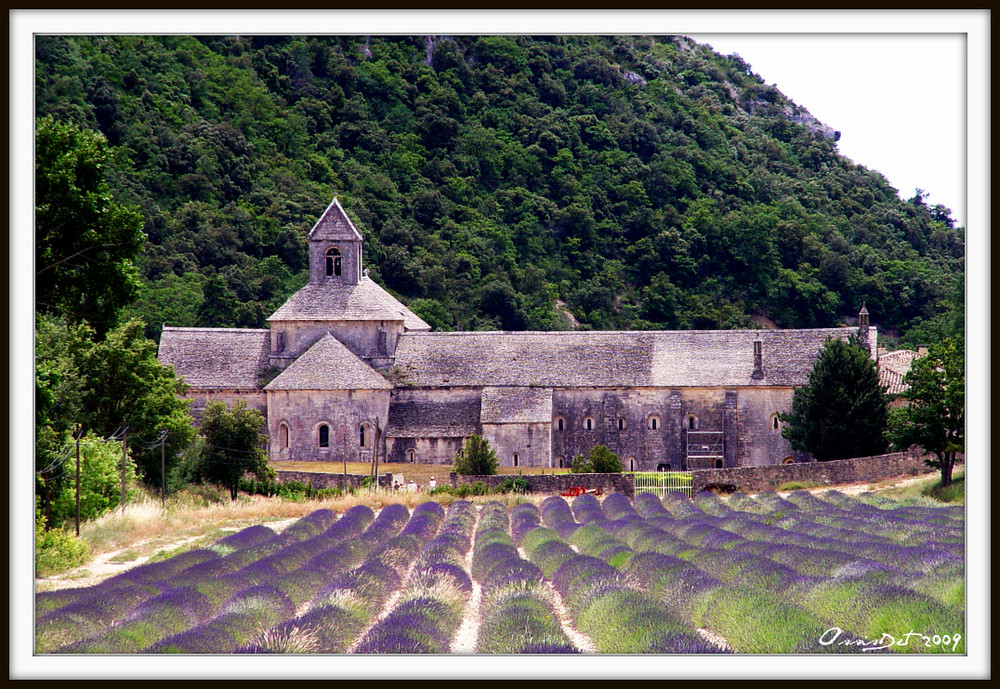 Kloster Sénanque und Lavendelfeld