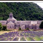 Kloster Sénanque und Lavendelfeld